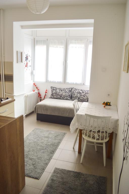 Apartment Riverside Gem Novi Sad Buitenkant foto